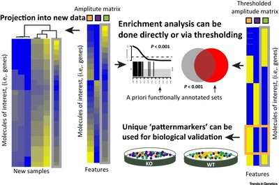 Enter the Matrix: Factorization Uncovers Knowledge from Omics
