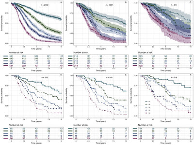 Prognostic gene expression signature for high-grade serous ovarian cancer