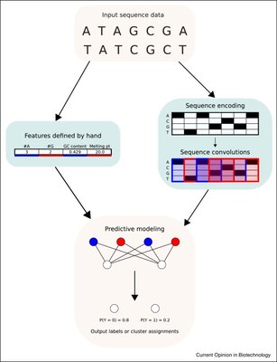 Incorporating biological structure into machine learning models in biomedicine