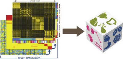 The Pediatric Cell Atlas: Defining the Growth Phase of Human Development at Single-Cell Resolution