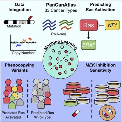 Machine Learning Detects Pan-cancer Ras Pathway Activation in The Cancer Genome Atlas