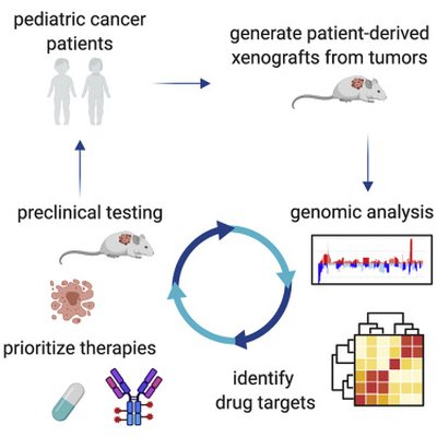 Genomic Profiling of Childhood Tumor Patient-Derived Xenograft Models to Enable Rational Clinical Trial Design