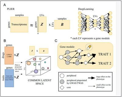 Can AI reveal the next generation of high-impact bone genomics targets