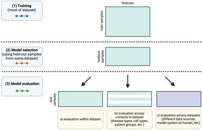 Best holdout assessment is sufficient for cancer transcriptomic model selection