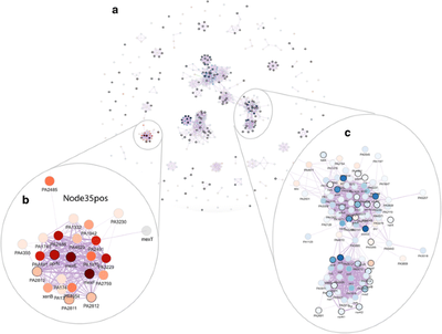 ADAGE signature analysis: differential expression analysis with data-defined gene sets
