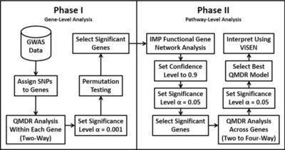 Computational genetics analysis of grey matter density in Alzheimer s disease
