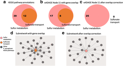 PathCORE-T: identifying and visualizing globally co-occurring pathways in large transcriptomic compendia