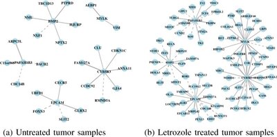Predicting targeted drug combinations based on Pareto optimal patterns of coexpression network connectivity