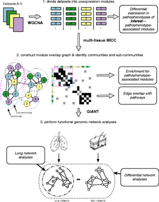 A novel multi-network approach reveals tissue-specific cellular modulators of fibrosis in systemic sclerosis