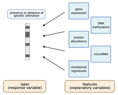 Widespread redundancy in -omics profiles of cancer mutation states