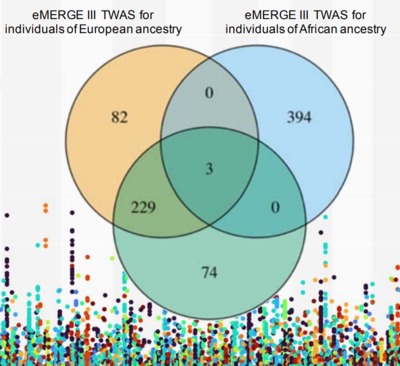 Multi-ancestry gene-trait connection landscape using electronic health record EHR linked biobank data