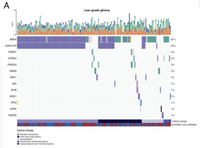 OpenPBTA: An Open Pediatric Brain Tumor Atlas