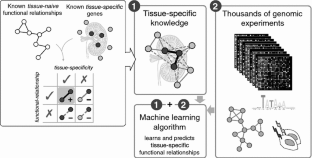 Integrative Networks Illuminate Biological Factors Underlying Gene Disease Associations