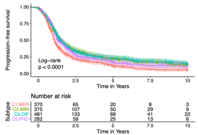 Development and Validation of the Gene Expression Predictor of High-grade Serous Ovarian Carcinoma Molecular SubTYPE PrOTYPE