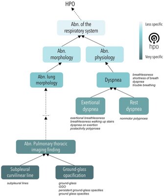 Characterizing Long COVID: Deep Phenotype of a Complex Condition