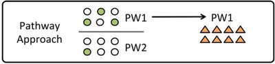 Pathway and network-based strategies to translate genetic discoveries into effective therapies