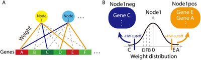 Unsupervised extraction of stable expression signatures from public compendia with eADAGE