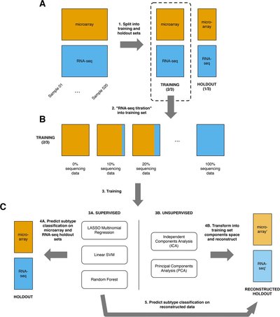 Cross-Platform Normalization Enables Machine Learning Model Training On Microarray And RNA-Seq Data Simultaneously