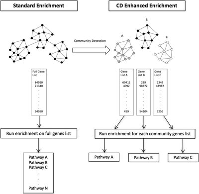 Functional Network Community Detection Can Disaggregate and Filter Multiple Underlying Pathways in Enrichment Analyses
