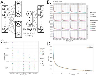 Extracting a Biologically Relevant Latent Space from Cancer Transcriptomes with Variational Autoencoders