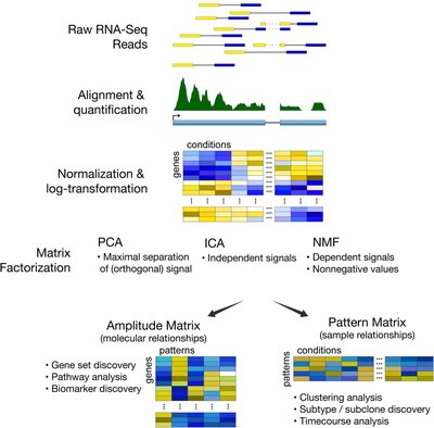 Enter the matrix: factorization uncovers knowledge from omics Names Affiliations