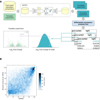 Generative neural networks separate common and specific transcriptional responses