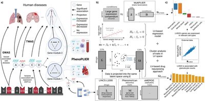Projecting genetic associations through gene expression patterns highlights disease etiology and drug mechanisms