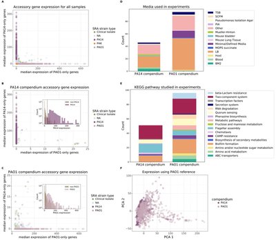 Compendium-wide analysis of i P. aeruginosa i core and accessory genes reveal more nuanced transcriptional patterns