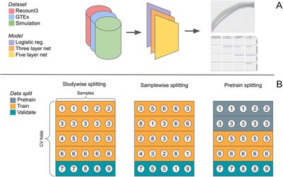 The Effects of Nonlinear Signal on Expression-Based Prediction Performance