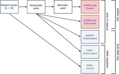 Performance of computational algorithms to deconvolve heterogeneous bulk tumor tissue depends on experimental factors