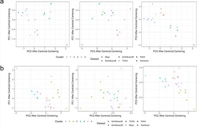Molecular subtypes of high-grade serous ovarian cancer across racial groups and gene expression platforms