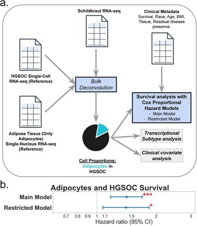 Deconvolved tumor adipocyte proportions and high grade serous ovarian carcinoma survival