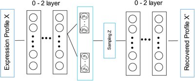 Parameter tuning is a key part of dimensionality reduction via deep variational autoencoders for single cell RNA transcriptomics