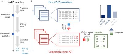 New Drosophila long-term memory genes revealed by assessing computational function prediction methods