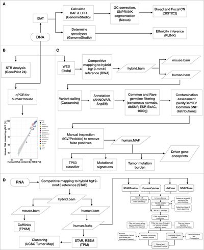 Genomic profiling of childhood tumor patient-derived xenograft models to enable rational clinical trial design