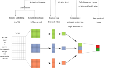 Expanding a database-derived biomedical knowledge graph via multi-relation extraction from biomedical abstracts