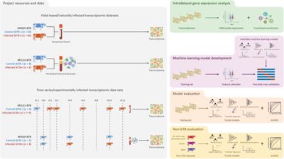A new diagnostic modality for bovine tuberculosis: accurate and robust classification of infected cattle using transcriptomics and machine learning