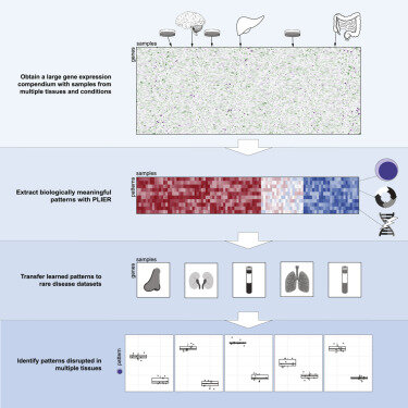 MultiPLIER: A Transfer Learning Framework for Transcriptomics Reveals Systemic Features of Rare Disease