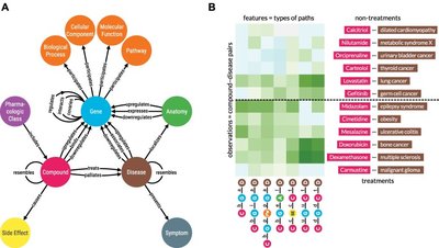 Hetnet connectivity search provides rapid insights into how biomedical entities are related