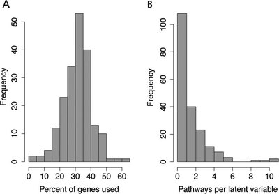 MousiPLIER: A Mouse Pathway-Level Information Extractor Model