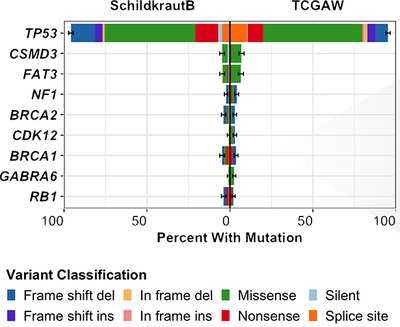 Genomic Characterization of High-Grade Serous Ovarian Carcinoma Reveals Distinct Somatic Features in Black Individuals