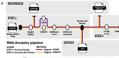 An Analytic Pipeline to Obtain Reliable Genetic Ancestry Estimates from Tumor-Derived RNA Sequencing Data