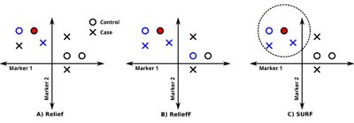 Spatially Uniform ReliefF SURF for computationally-efficient filtering of gene-gene interactions