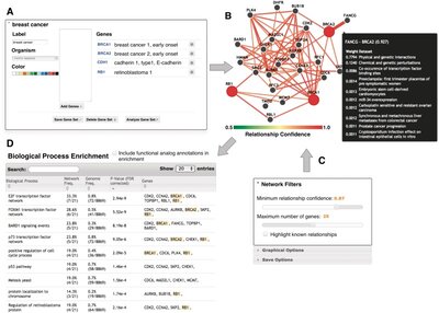 IMP: a multi-species functional genomics portal for integration, visualization and prediction of protein functions and networks