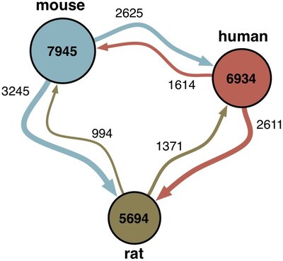 Functional Knowledge Transfer for High-accuracy Prediction of Under-studied Biological Processes