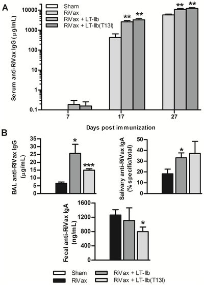LT-IIb T13I , a Non-Toxic Type II Heat-Labile Enterotoxin, Augments the Capacity of a Ricin Toxin Subunit Vaccine to Evoke Neutralizing Antibodies and Protective Immunity
