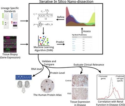 Defining cell-type specificity at the transcriptional level in human disease