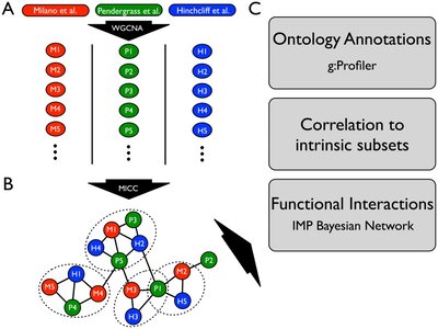 Systems Level Analysis of Systemic Sclerosis Shows a Network of Immune and Profibrotic Pathways Connected with Genetic Polymorphisms
