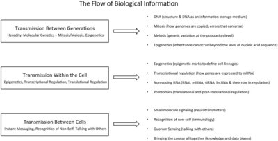 Adapting bioinformatics curricula for big data
