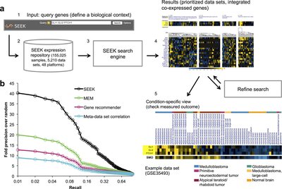 Targeted exploration and analysis of large cross-platform human transcriptomic compendia